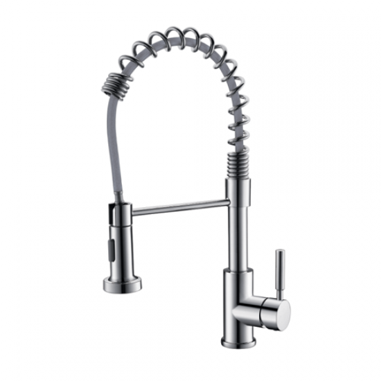 Kitchen Mixer with Spring Head